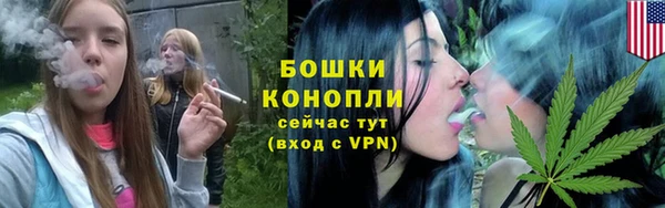 PSILOCYBIN Красноперекопск