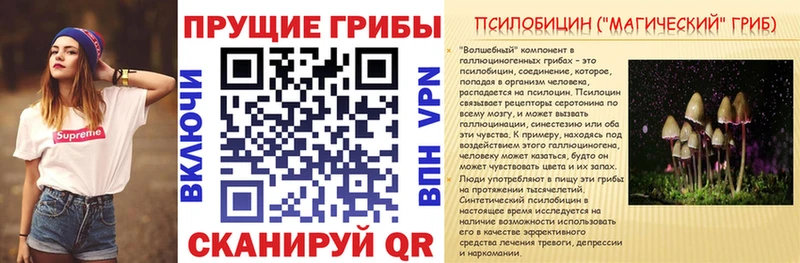 кракен маркетплейс  Чекалин  Галлюциногенные грибы Psilocybe 